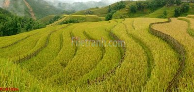 Tải file File tranh phong cảnh thiên nhiên PCN1086 (ảnh gốc) in tranh kính