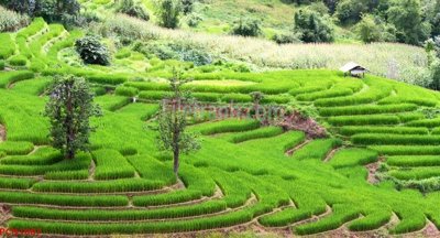 Download file gốc File tranh phong cảnh thiên nhiên PCN1087 (in mica) trong suốt