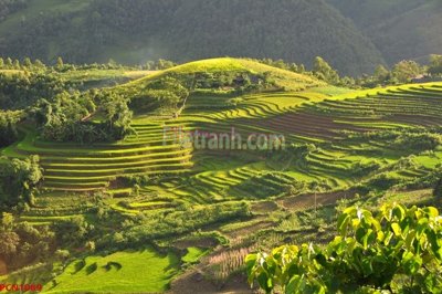 File in mica File tranh phong cảnh thiên nhiên PCN1089 (ảnh gốc) đẹp