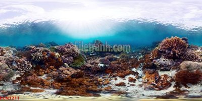 File in ấn File tranh phong cảnh thiên nhiên PCN1211 (bản gốc) cao cấp