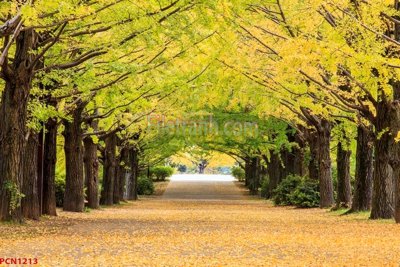 File tranh File tranh phong cảnh thiên nhiên PCN1213 (gốc) in film