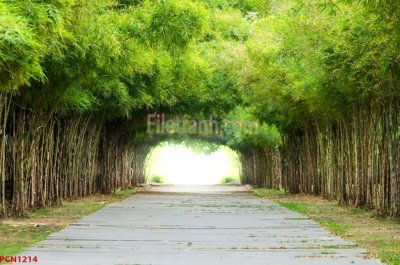 Tải file File tranh phong cảnh thiên nhiên PCN1214 (PSD) cho in ấn quảng cáo