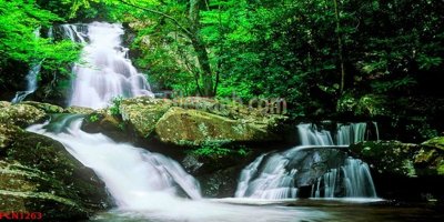 File gốc in ấn File tranh phong cảnh thiên nhiên PCN1263 chất lượng vượt trội