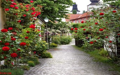 File gốc File tranh phong cảnh thiên nhiên PCN128 (dành cho trang trí nội thất)