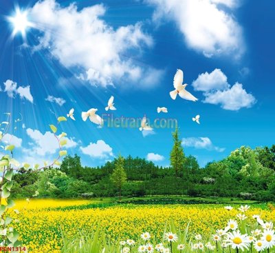 File in ấn File tranh phong cảnh thiên nhiên PCN1314 (bản gốc) cao cấp