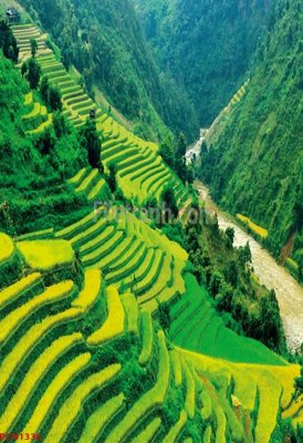 File tranh in trần File tranh phong cảnh thiên nhiên PCN1336 (ảnh gốc siêu nét)