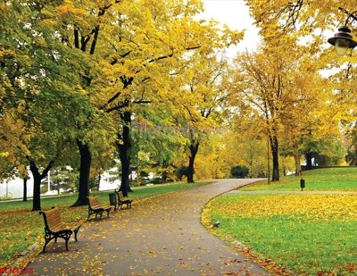 Hình ảnh file gốc File tranh phong cảnh thiên nhiên PCN1355 cho in UV