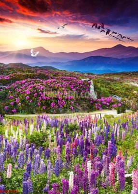 Tải file File tranh phong cảnh thiên nhiên PCN1394 (ảnh gốc) in gạch 3D