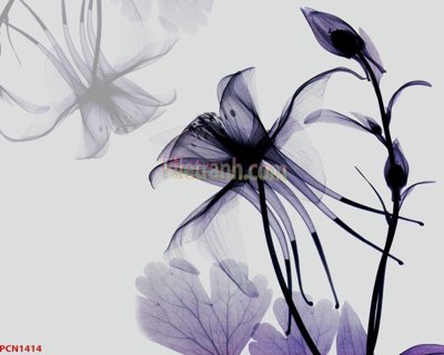 Tải file File tranh phong cảnh thiên nhiên PCN1414 (ảnh gốc) file TIFF