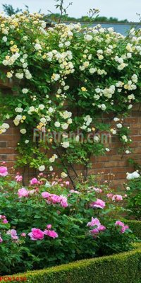 Download file gốc File tranh phong cảnh thiên nhiên PCN1439 (in mica) trang trí