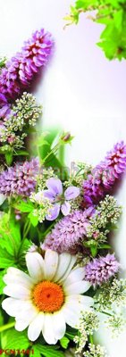 File gốc File tranh phong cảnh thiên nhiên PCN1441 (ảnh chi tiết) để in trần