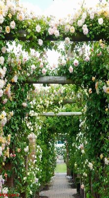 Tải file File tranh phong cảnh thiên nhiên PCN1443 (gốc) làm file quảng cáo