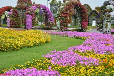 File gốc File tranh phong cảnh thiên nhiên PCN145 (in ấn) màu sắc trung thực