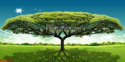 Tải file gốc File tranh phong cảnh thiên nhiên PCN1460 (bản PSD) còn layer