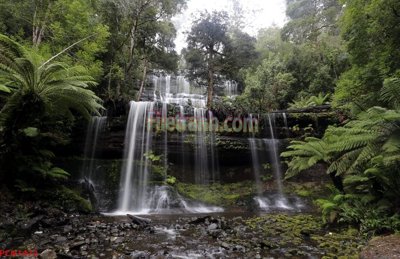 Tải file gốc File tranh phong cảnh thiên nhiên PCN1472 (bản PSD) đầy đủ layer