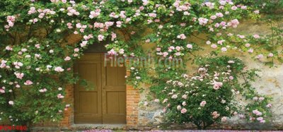 File tranh gốc File tranh phong cảnh thiên nhiên PCN1480 (sắc nét từng chi tiết)