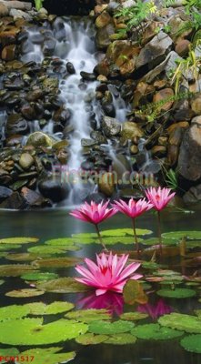 Tải file tranh File tranh phong cảnh thiên nhiên PCN1517 (ảnh gốc) ngay