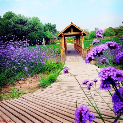 Tải file File tranh phong cảnh thiên nhiên PCN1568 (gốc) chủ đề tâm linh