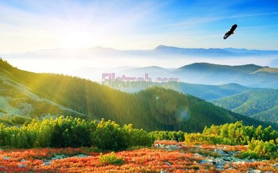 Download file File tranh phong cảnh thiên nhiên PCN1573 (chuẩn in) chất lượng cao