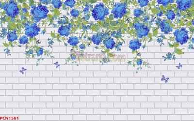 File in trần File tranh phong cảnh thiên nhiên PCN1581 (bản gốc) trời sao