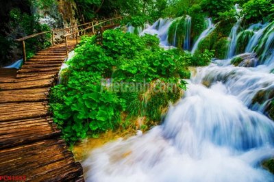 Ảnh gốc File tranh phong cảnh thiên nhiên PCN1655 (độ nét cao) in tráng gương