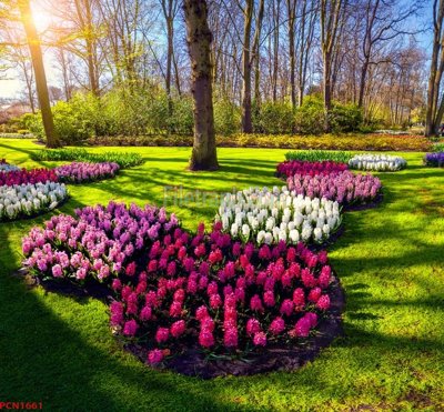 File gốc File tranh phong cảnh thiên nhiên PCN1661 (in lụa) họa tiết 3D