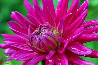 Tải file gốc File tranh phong cảnh thiên nhiên PCN1676 (in tráng gương) 3DFile gốc File tranh phong cảnh thiên nhiên PCN1676 (sẵn sàng in) chất lượng cao