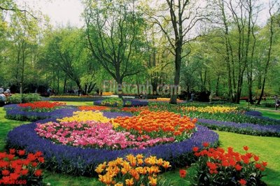 Download file gốc File tranh phong cảnh thiên nhiên PCN1698 (độ nét cao)