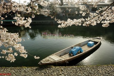 File gốc File tranh phong cảnh thiên nhiên PCN1701 (vector) cho in ấn