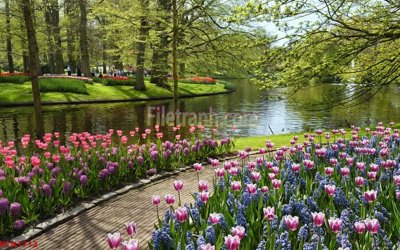 File in ấn cao cấp File tranh phong cảnh thiên nhiên PCN1712 (file gốc)