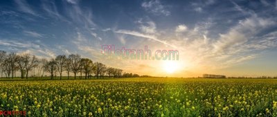 Tải file File tranh phong cảnh thiên nhiên PCN1715 (gốc) chủ đề tâm linh