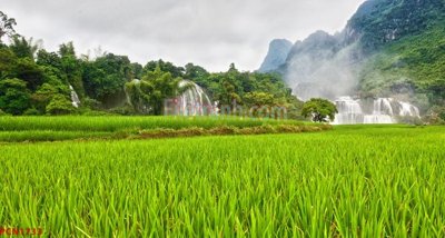 Tải file gốc File tranh phong cảnh thiên nhiên PCN1733 (bản PSD) còn layer