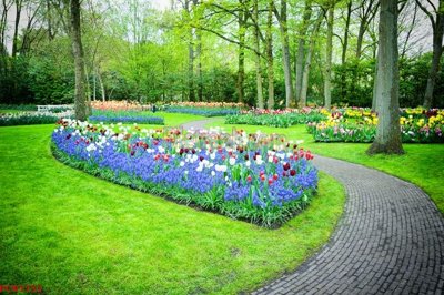 Tải file File tranh phong cảnh thiên nhiên PCN1755 (ảnh gốc) file AI/EPS