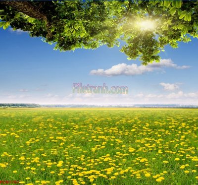 File gốc File tranh phong cảnh thiên nhiên PCN1761 (in tráng gương) ốp tường