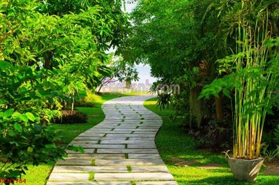 File gốc File tranh phong cảnh thiên nhiên PCN1764 (PNG) không nền chất lượng