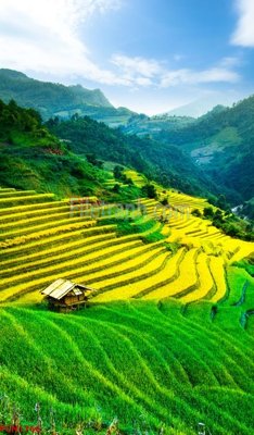 File gốc File tranh phong cảnh thiên nhiên PCN1766 (chủ đề hiện đại) trang trí