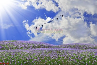 File in lụa File tranh phong cảnh thiên nhiên PCN1768 (phong cảnh) File tranh phong cảnh thiên nhiên PCN1768