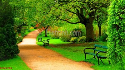 File in ấn File tranh phong cảnh thiên nhiên PCN1781 (bản gốc) sắc nét