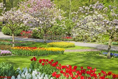 Cung cấp file tranh gốc File tranh phong cảnh thiên nhiên PCN1800 độc quyền