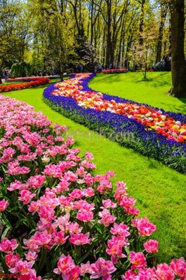 Ảnh gốc File tranh phong cảnh thiên nhiên PCN1804 (siêu chi tiết) để in ấn