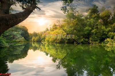 File PSD in ấn File tranh phong cảnh thiên nhiên PCN1820 (chất lượng cao)