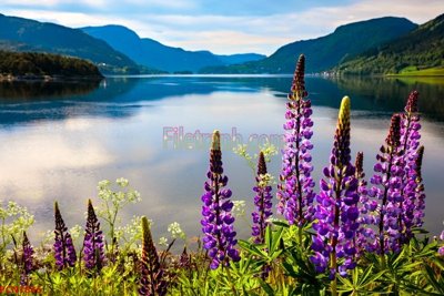 File tranh File tranh phong cảnh thiên nhiên PCN1836 (gốc) chủ đề thiên nhiên