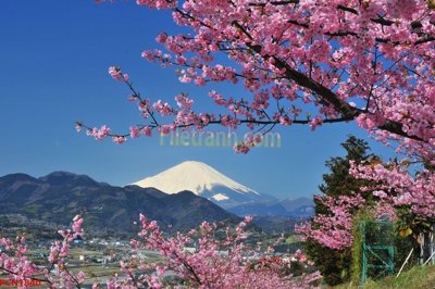 File in ấn File tranh phong cảnh thiên nhiên PCN1840 chuyên nghiệp