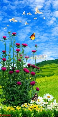 Chi tiết file gốc File tranh phong cảnh thiên nhiên PCN1846 (cho in tráng gương)