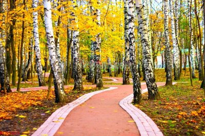 Download file gốc File tranh phong cảnh thiên nhiên PCN1853 (in lụa) nghệ thuật