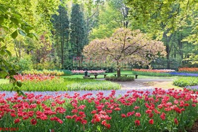 File gốc File tranh phong cảnh thiên nhiên PCN1857 (phong cách) tối giản