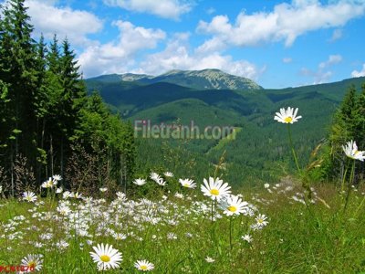 File in trần File tranh phong cảnh thiên nhiên PCN1870 (file gốc) hoa văn 3D