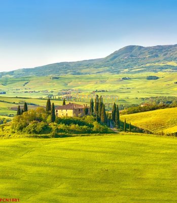 Tải file File tranh phong cảnh thiên nhiên PCN1881 (gốc) in tranh tráng gương