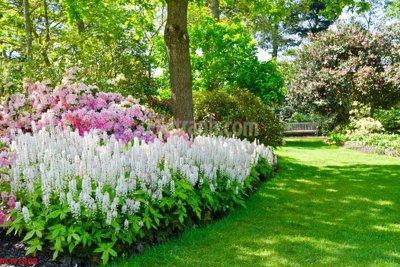 Chi tiết file ảnh File tranh phong cảnh thiên nhiên PCN1888 sắc nét