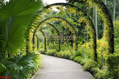 Chi tiết file gốc File tranh phong cảnh thiên nhiên PCN1893 (cho in tráng gương)